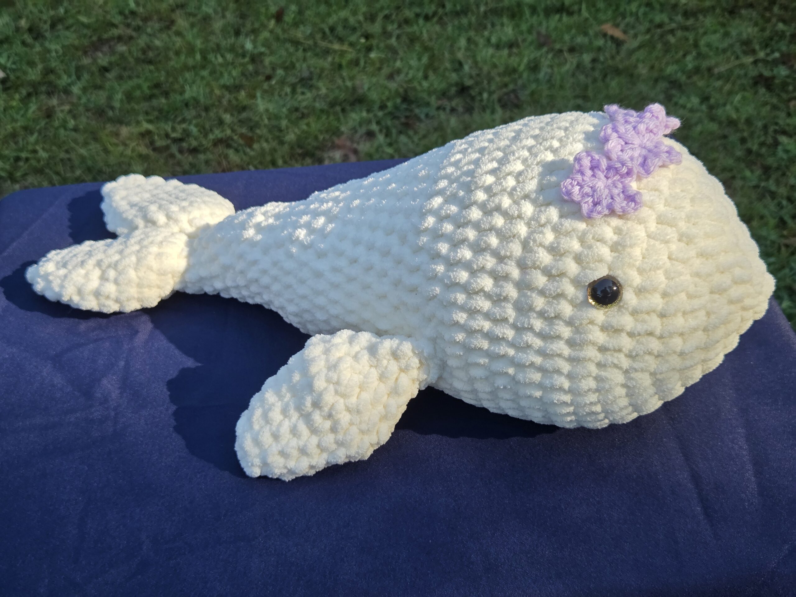 Echo the Whale - Image 5