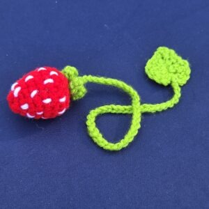 Crocheted strawberry bookmark. Bright red strawberry adorned with tiny white seets. 15" crochet stem, embellished with a grass green leaf on the bottom of the bookmark.