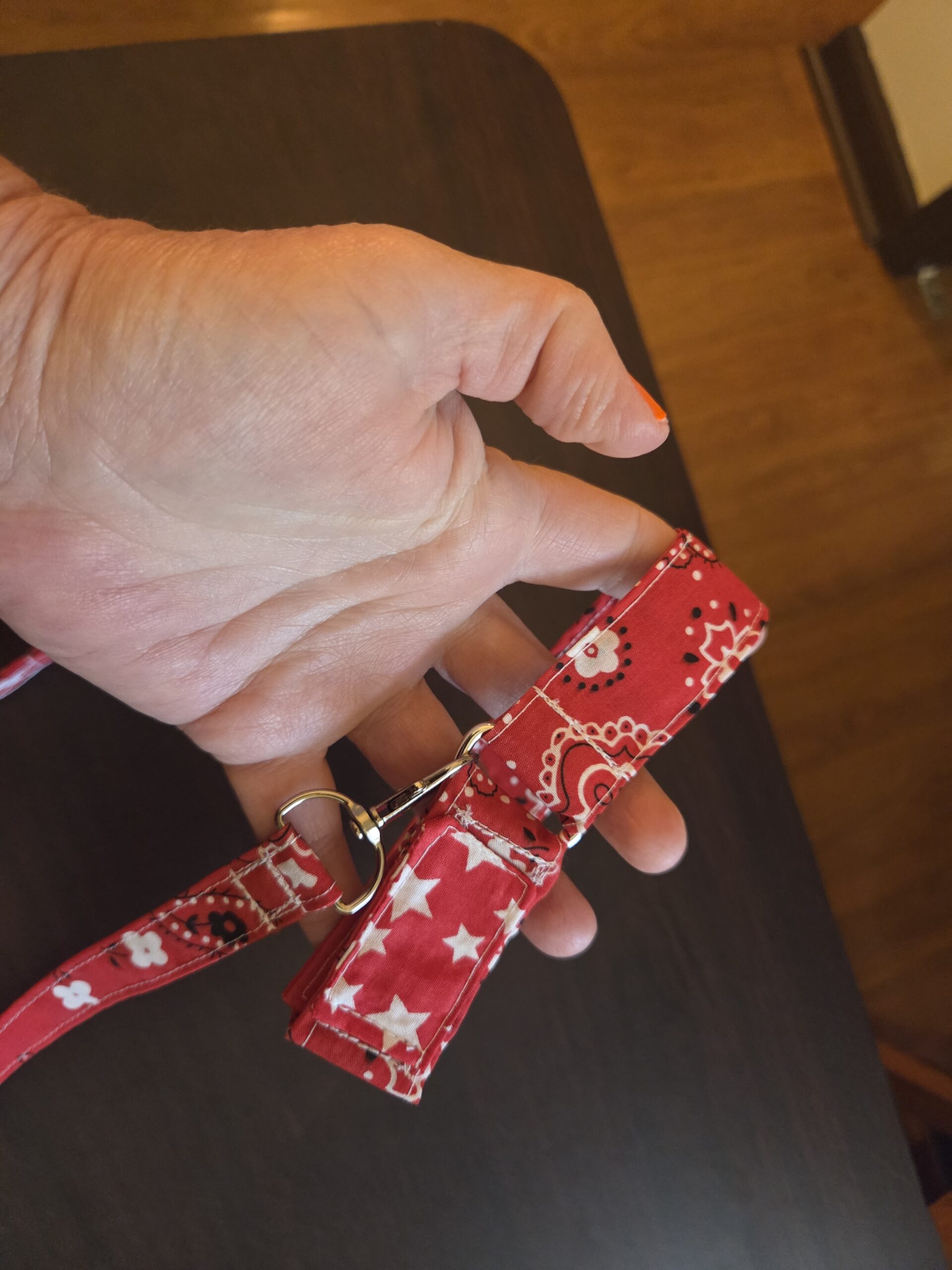 Dog collar and leash - small - red bandanna print - Image 3