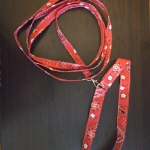 Dog collar & leash - red bandanna print fabric. Features velcro closure and silver hardware (for attaching collar to leash and attaching dog or rabies tags).