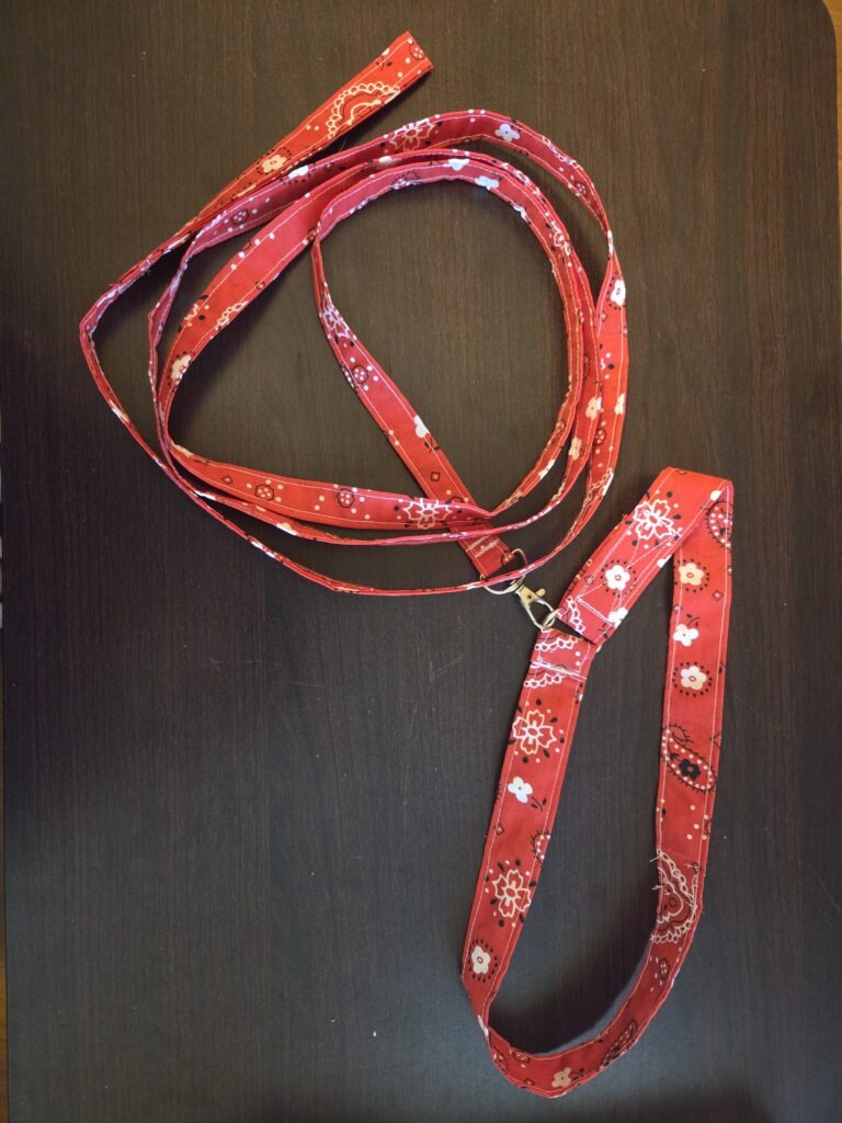 Dog collar & leash - red bandanna print fabric. Features velcro closure and silver hardware (for attaching collar to leash and attaching dog or rabies tags).