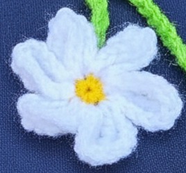 Shown in detail - White daisy, yellow center.