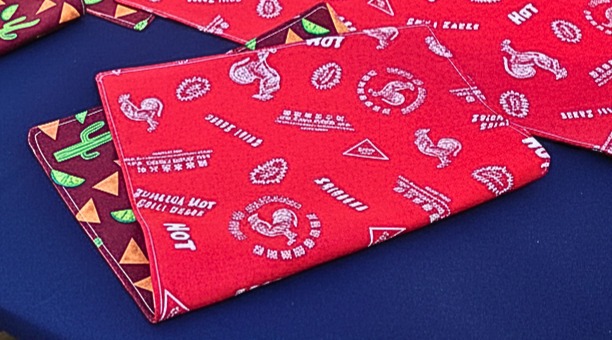 Taco Tuesday Hotsauce Placemats, set of 4; Reversible with Sriracha Sauce Print; Mexican Place mats, Southwest Place mats, Cinco de Maya Placemats - Image 2