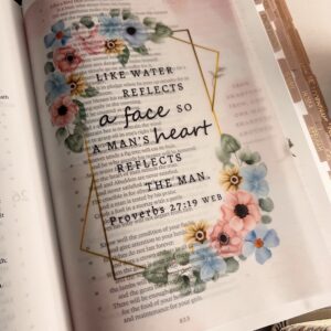 Proverbs 27:19 Bible Tip-In | Floral Vellum Bible Journaling Insert | 5x7, 6x8