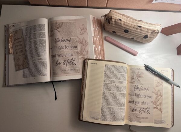 Exodus 14:14 Bible Tip-In | Be Still Scripture Vellum | Journaling Insert | 5x7, 6x8 - Image 5