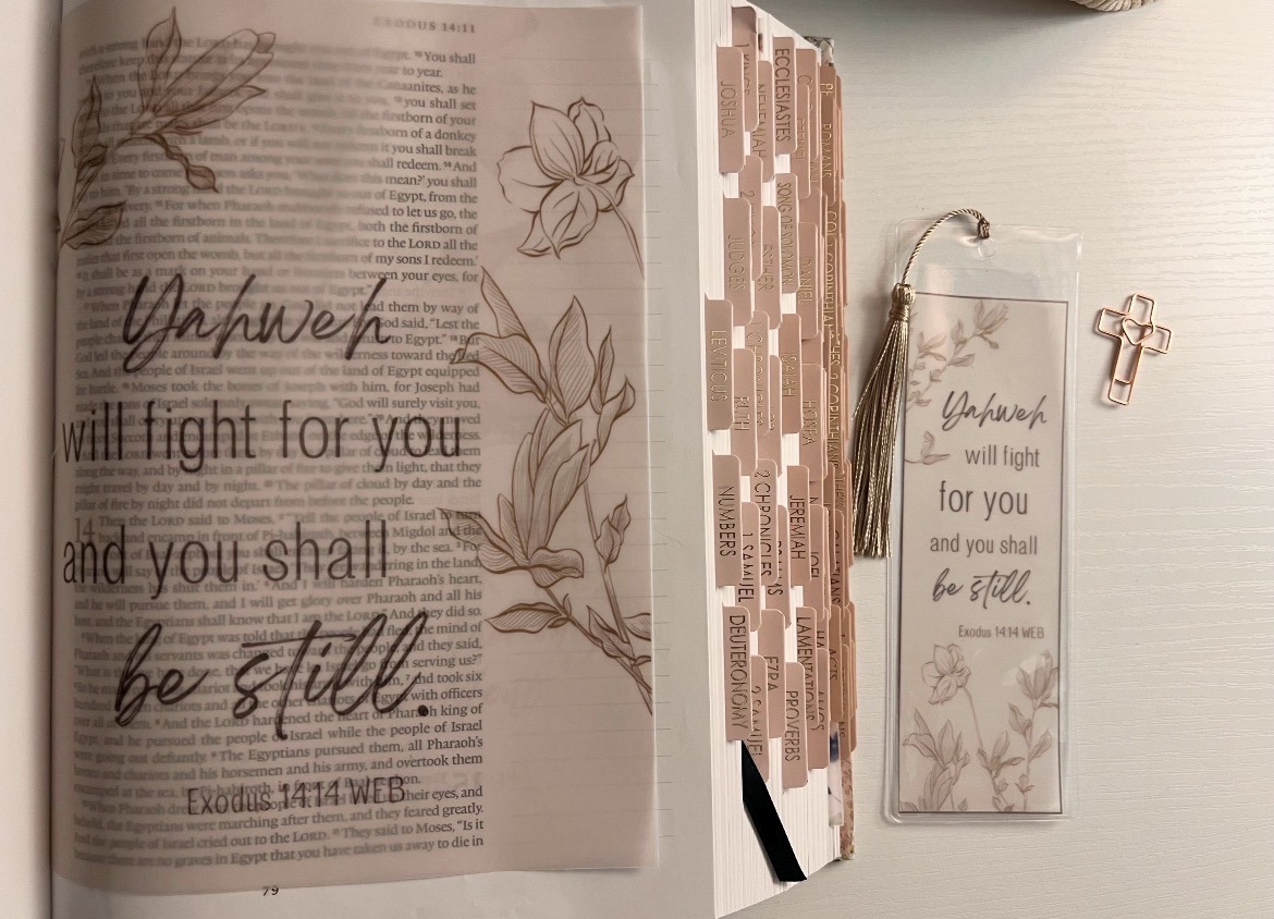 Exodus 14:14 Bible Tip-In | Be Still Scripture Vellum | Journaling Insert | 5x7, 6x8 - Image 6