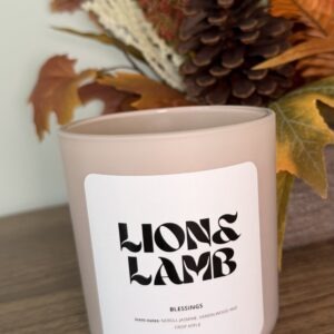 12 oz Blessings coco-soy candle with a wooden wick in a blush jar