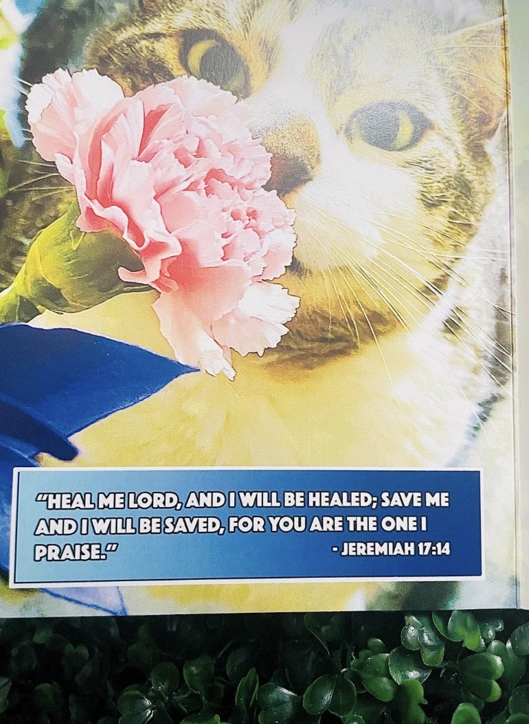 Get Well Soon Card | Cute Cat, Original Artwork - Image 2