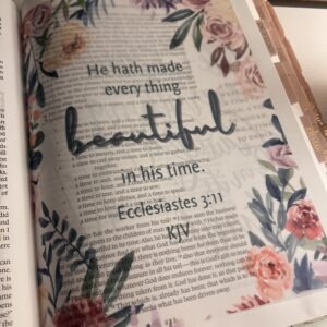 Ecc 3:11 Tip In