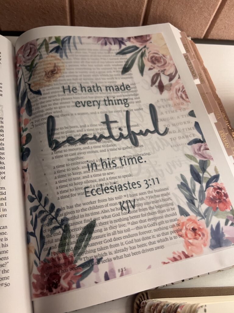 Ecc 3:11 Tip In